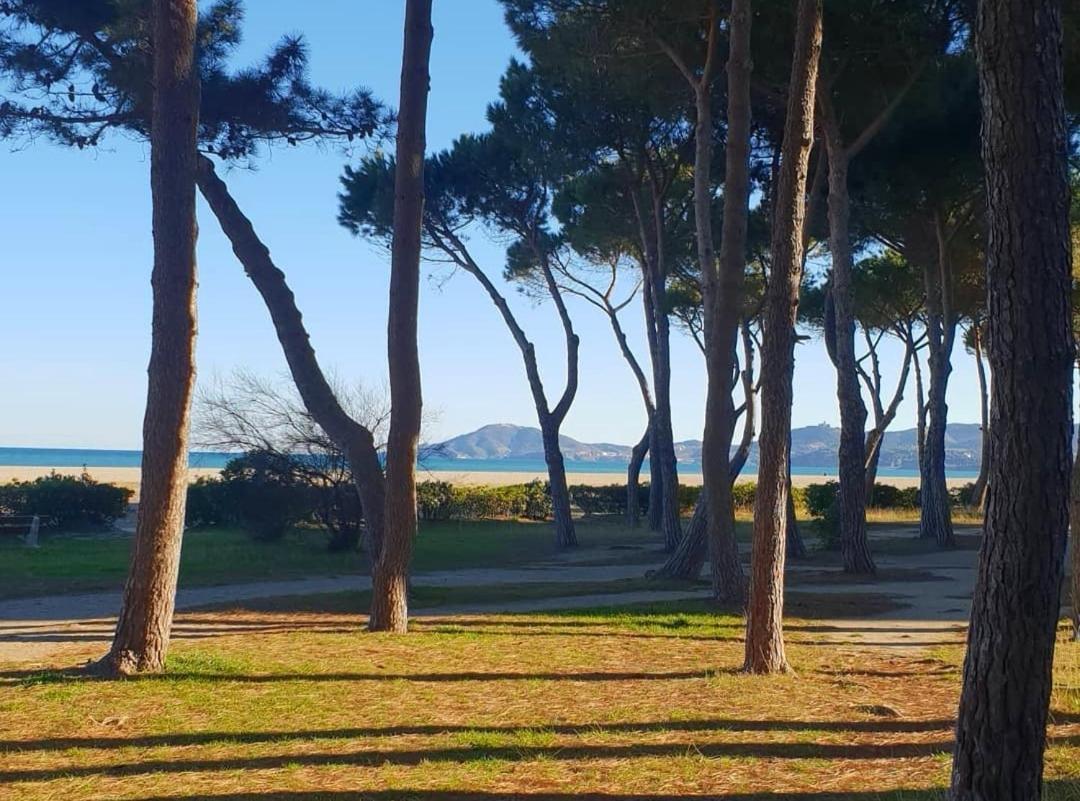 Les Lavandines -Coquette Maison De Vacances - 400 M De La Plage - Grande Terrasse - 2 Chambres - 2 Salles De Bain - Tout Confort Argelès-sur-Mer Exteriör bild